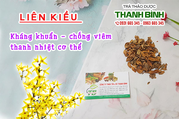 Đặc điểm của liên kiều