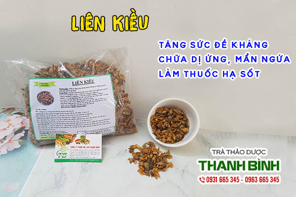 Liên kiều và những tác dụng với sức khỏe