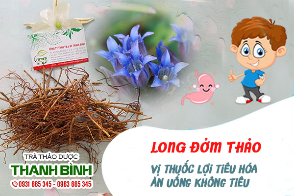 Đặc điểm của long đởm thảo