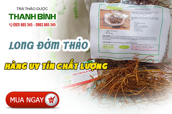 Những tác dụng trị bệnh của long đởm thảo