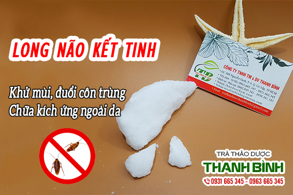 Đặc điểm về dược liệu long não