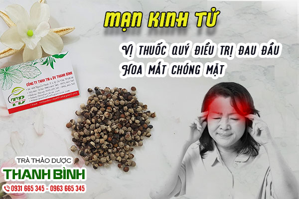 Giới thiệu mạn kinh tử chữa đau đầu 