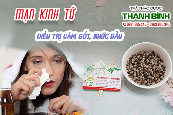 Mạn kinh tử dùng sao cho đúng cách?