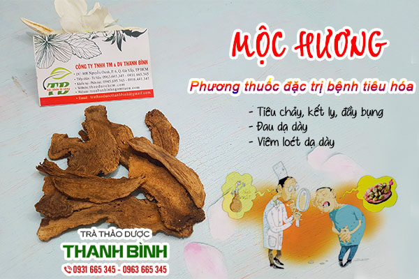 Giới thiệu công dụng trị bệnh của mộc hương