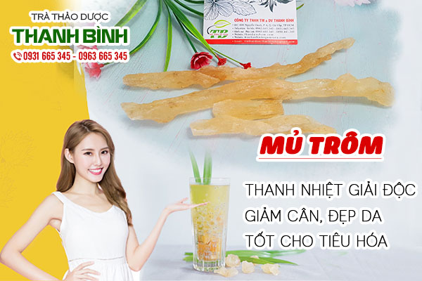 Mủ trôm và những tác dụng tốt với sức khỏe