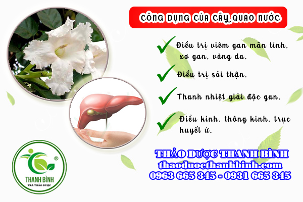 cây quao nước