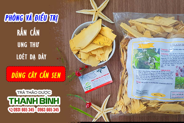 cây cần sen