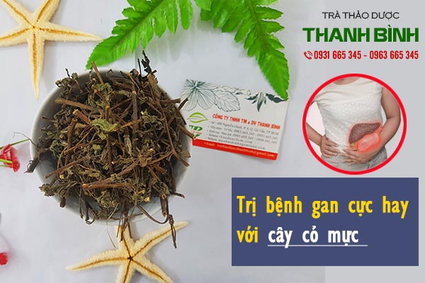 Cây cỏ mực chất lượng tại Thảo dược Thanh Bình