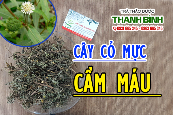 cây cỏ mực 