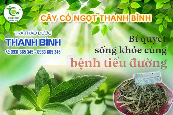 cây cỏ ngọt