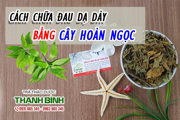 cây hoàn ngọc