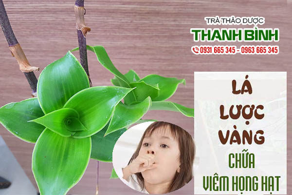 cây lược vàng