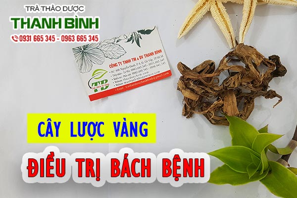 Đặc điểm về cây lược vàng