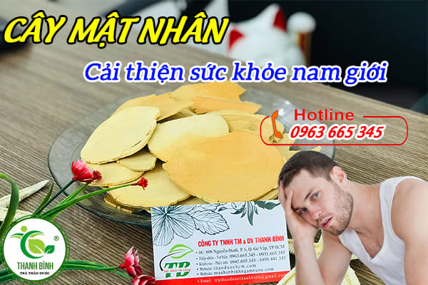 Cây mật nhân chất lượng tại thảo dược Thanh Bình