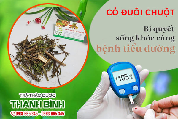 cỏ đuôi chuột