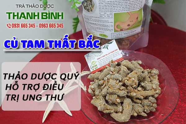 Hình ảnh vị thuốc quý củ tam thất bắc 