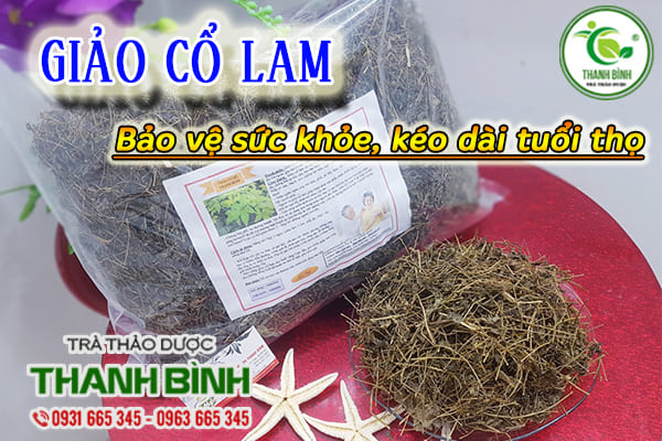 giảo cổ lam