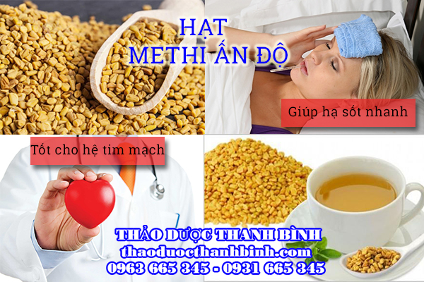 Hạt methi Ấn Độ giúp giảm nguy cơ mắc bệnh tim mạch