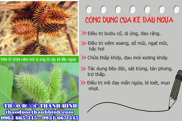 Đặc điểm công dụng về ké đầu ngựa