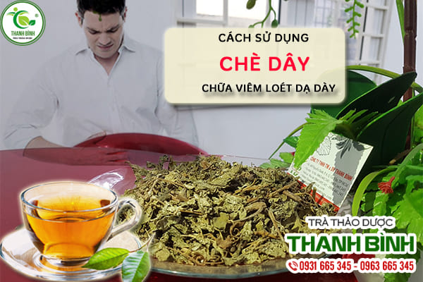 Chè dây Sapa và cách dùng sao cho đạt hiệu quả