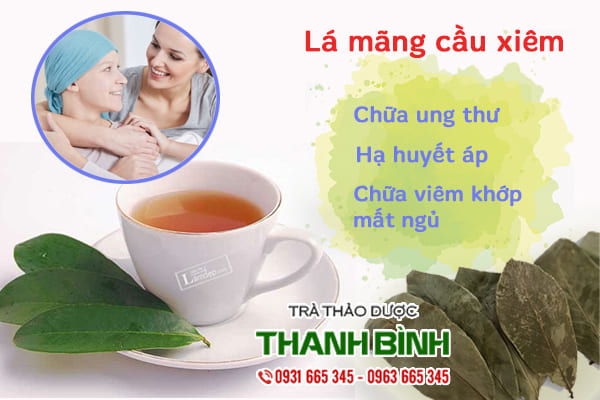 la mãng cầu xiêm thanh bình