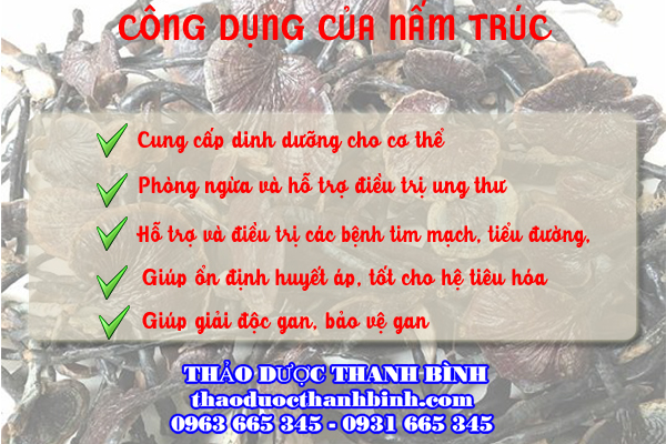 Các công dụng mà nấm trúc mang lại