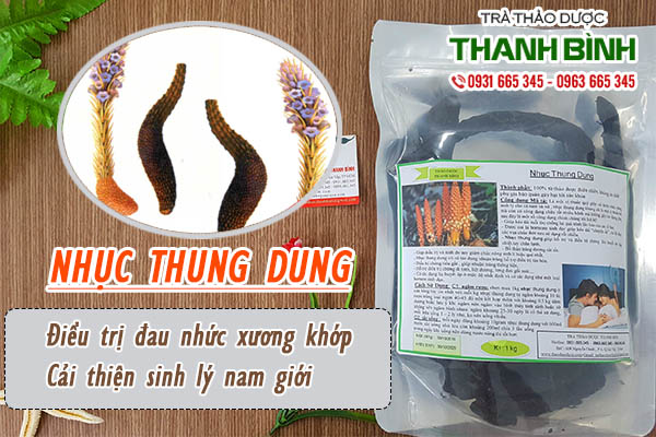 Giới thiệu vị thuốc tăng cường sinh lý - Nhục thung dung