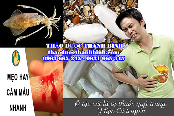 Mua bán ô tặc cốt (mai mực) tại Thảo Dược Thanh Bình uy tín chất lượng nhất 