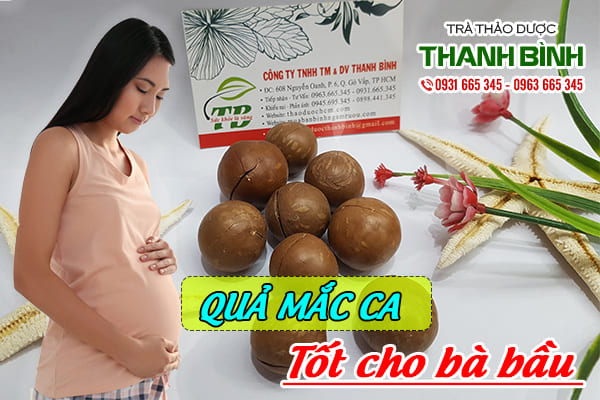 Giới thiệu về hạt mắc ca