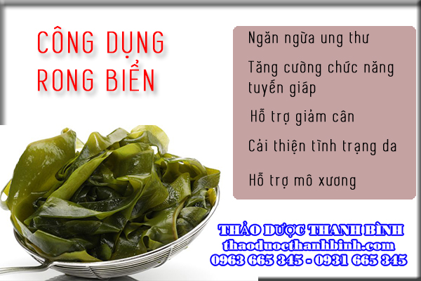 Những công dụng của rong biển tốt cho sức khỏe