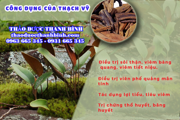 Một số cách dùng thạch vỹ