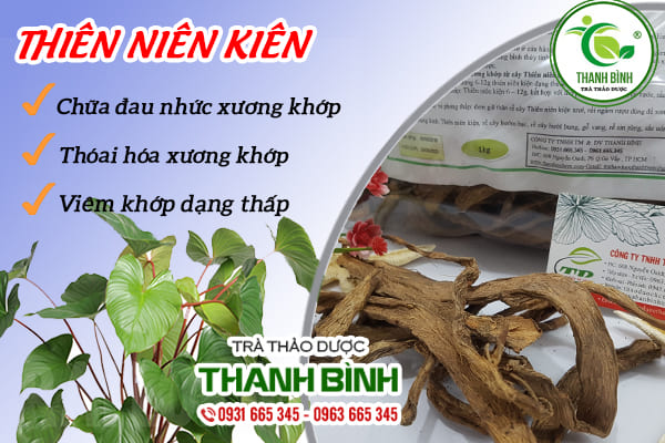 thiên niên kiện