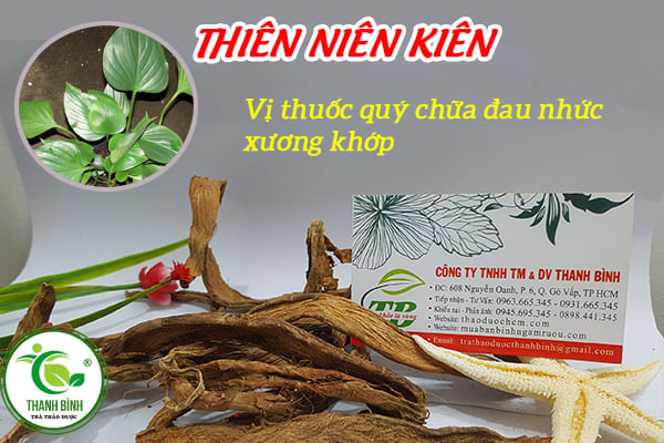 thiên niên kiện