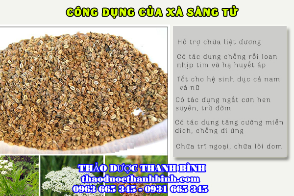 xà sàng