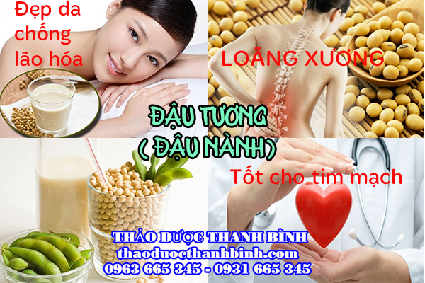 đậu tương