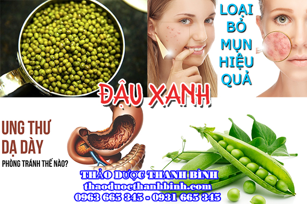 đậu xanh