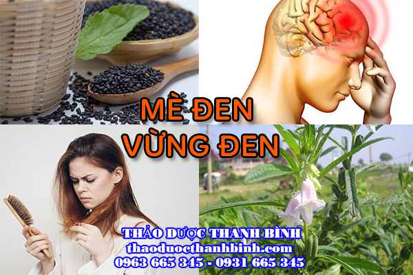 Giới thiệu mè đen trị bệnh