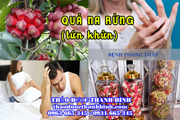 qủa na rừng