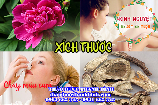 xích thược