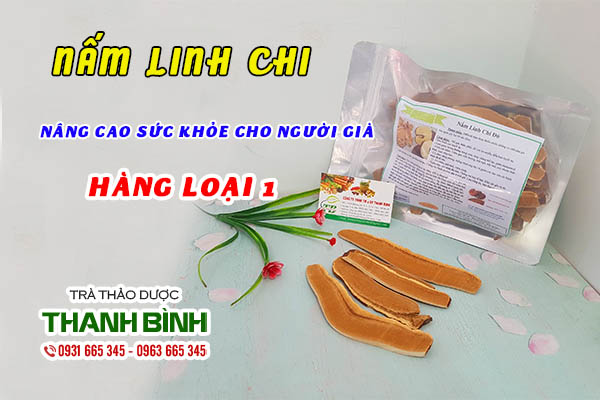 Bài thuốc dùng nấm linh chi chữa viêm gan