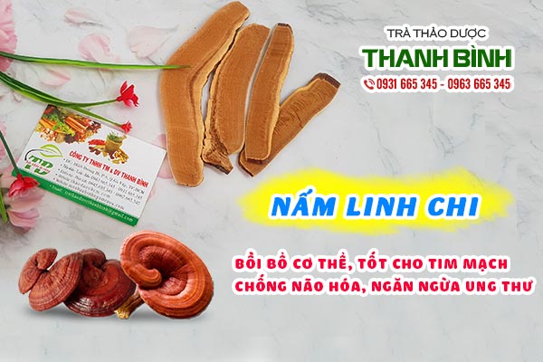 Những công dụng mà nấm linh chi mang lại