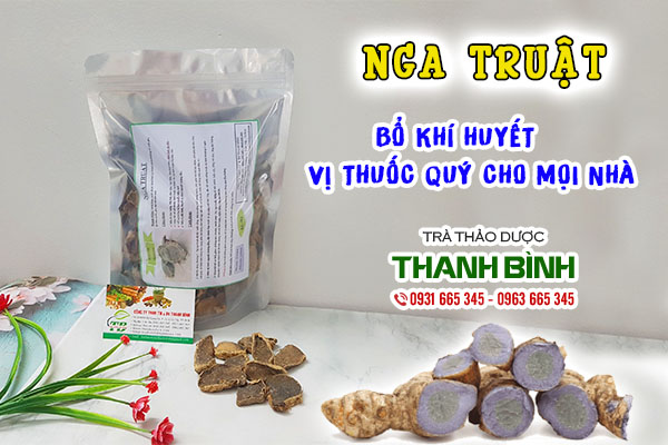 Công dụng của nga truật