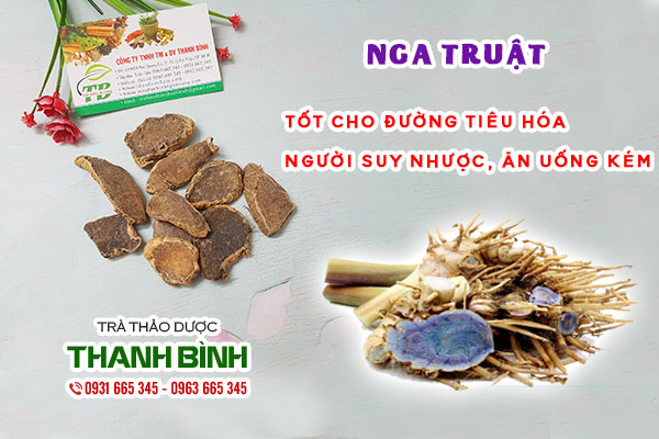 Giới thiệu về nga truật