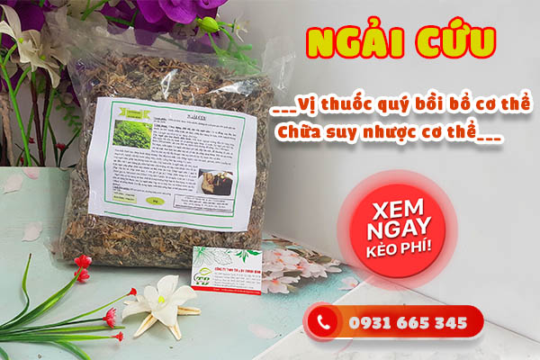 ngải cứu