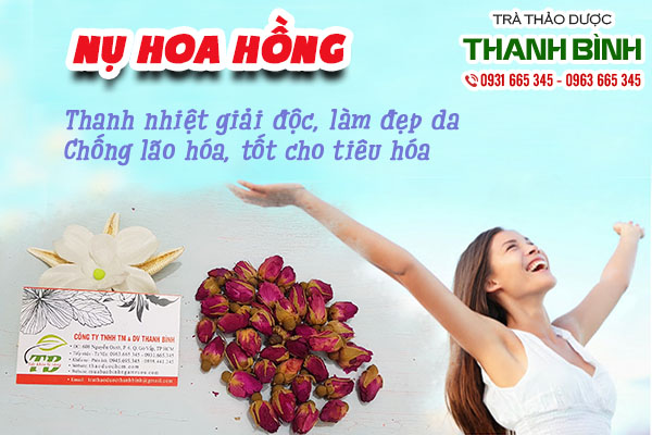 Giới thiệu về nụ hoa hồng 