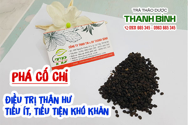 Đặc điểm phá cố chỉ