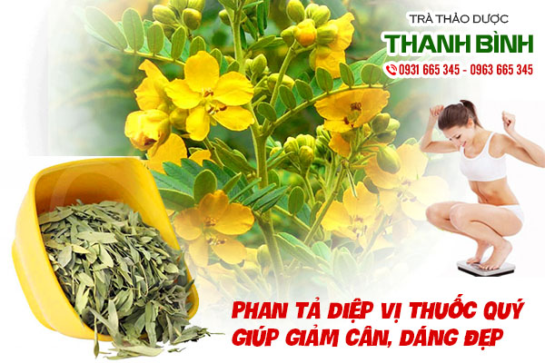 Một số bài thuốc từ phan tả diệp