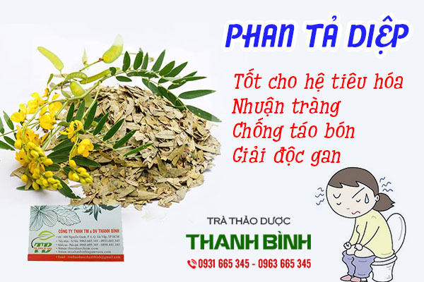 Giới thiệu về phan tả diệp