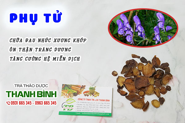 Giới thiệu vị thuốc phụ tử