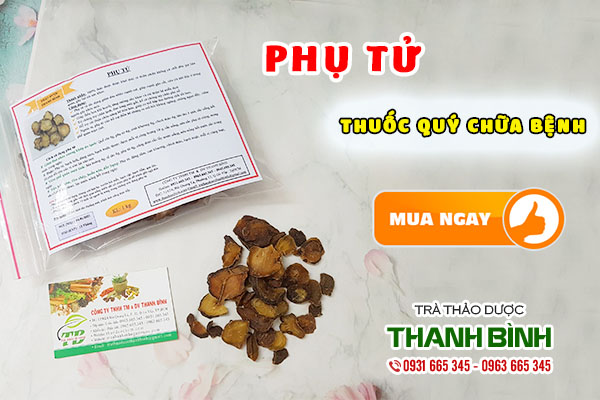 Công dụng trị bệnh của phụ tử